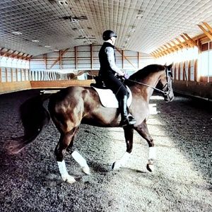 Meet your Posher, Delice